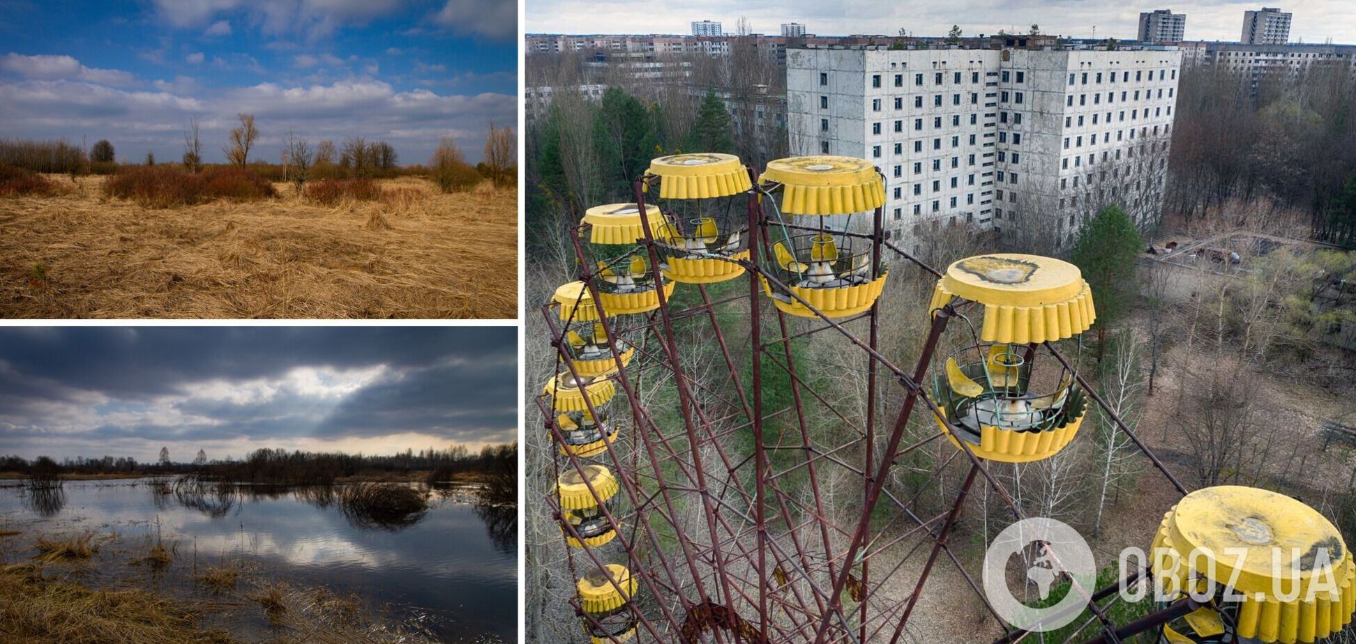 Чернобыльская зона в начале весны