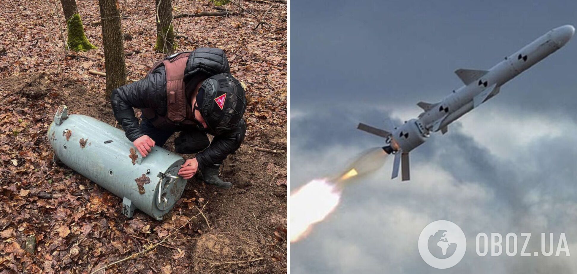 Знайшли посеред лісу: на Вінниччині знищили бойову частину ракети Х-101. Фото