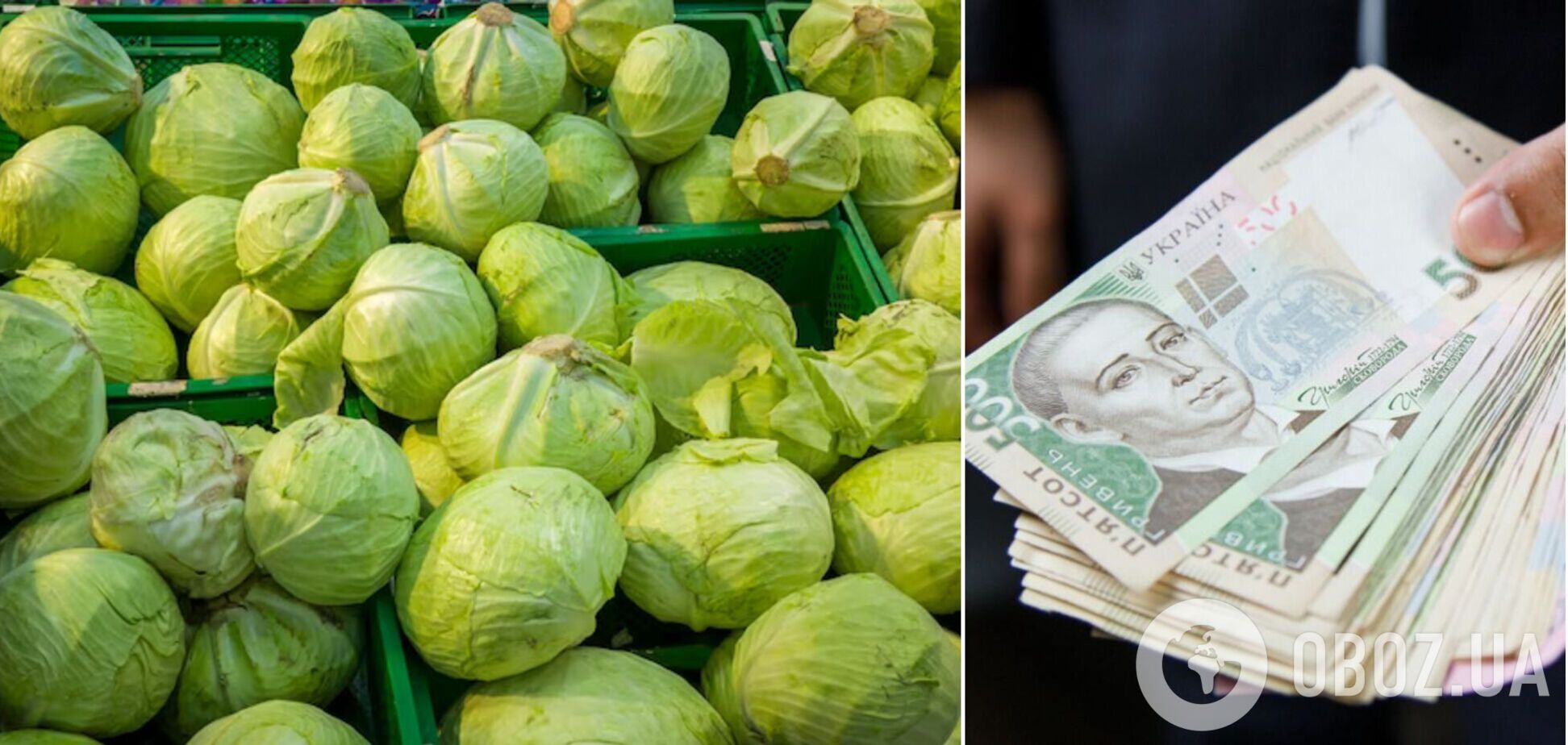 В Украине стремительно падают цены на популярный овощ: сколько теперь стоит