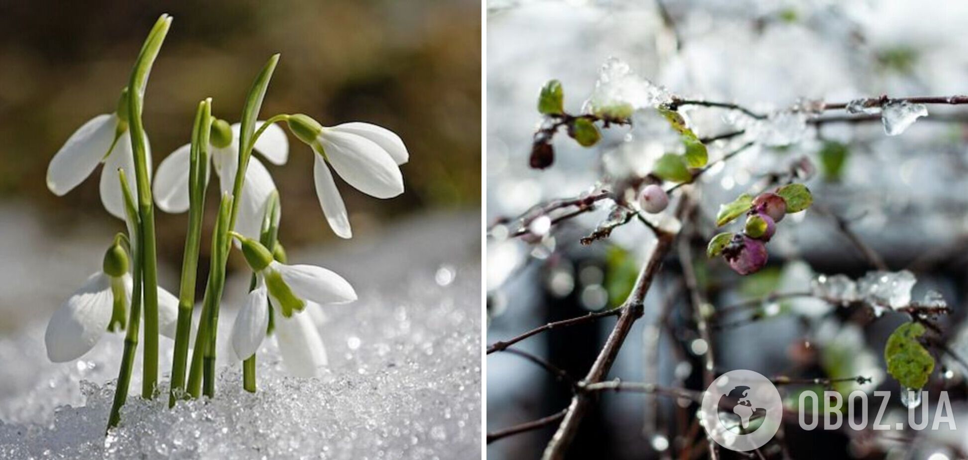Частину України накриють дощі і мокрий сніг: синоптики попередили про погіршення погоди. Карта