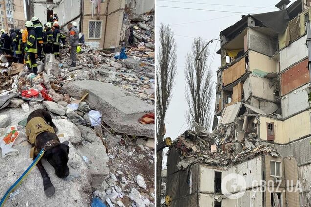 В сети показали собаку Тару, которая ищет людей под завалами после удара РФ в Одессе. Фото