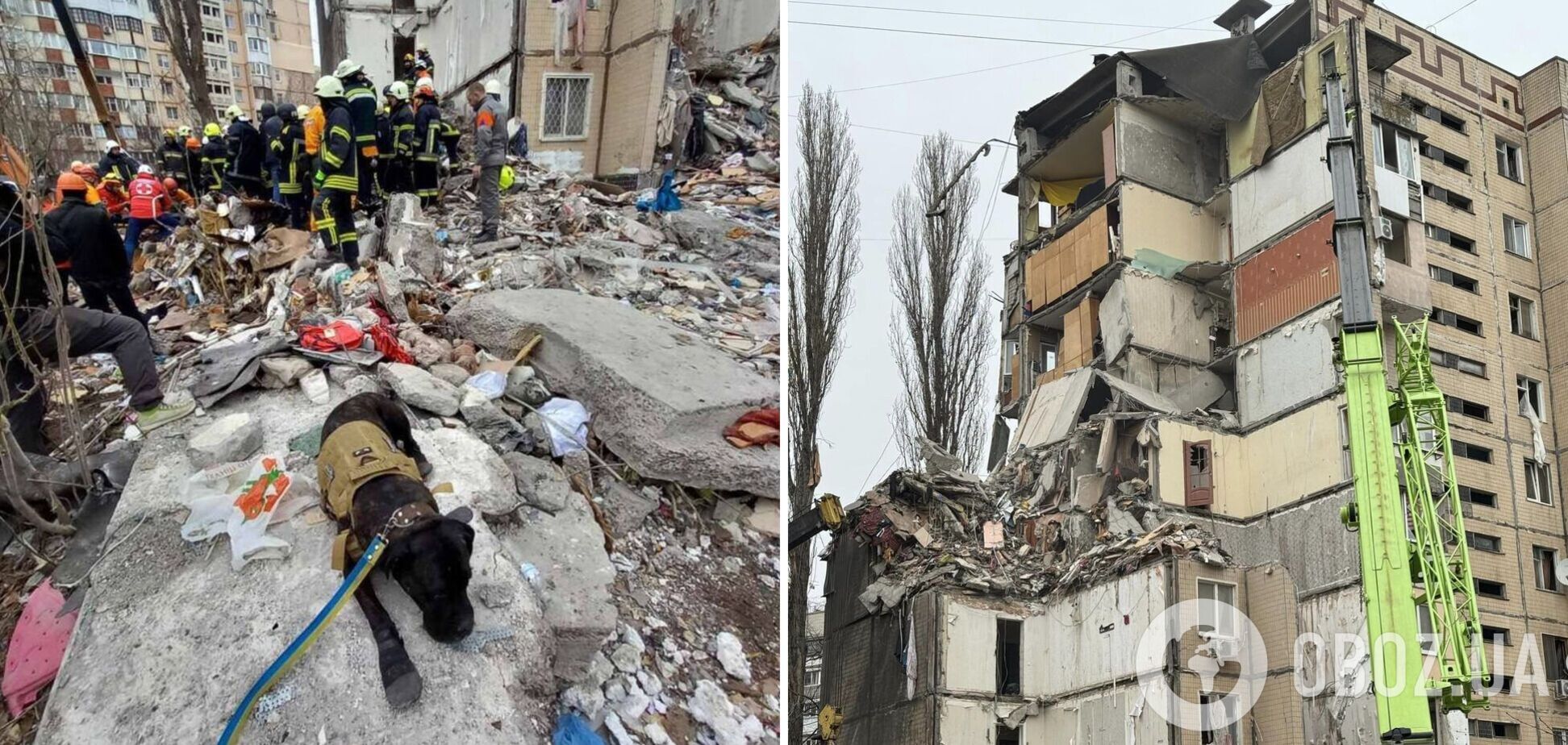 В сети показали собаку Тару, которая ищет людей под завалами после удара РФ в Одессе. Фото