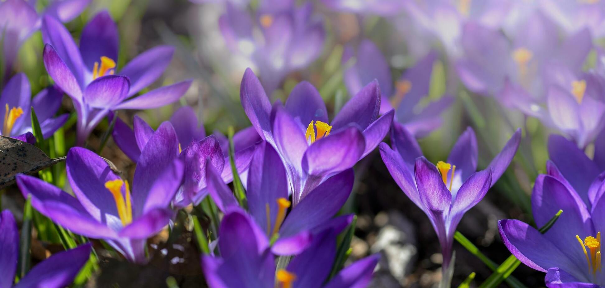 Погода в Украине в марте