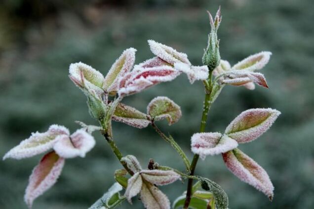 Без осадков, но с заморозками: синоптики дали прогноз погоды на четверг, 21 марта