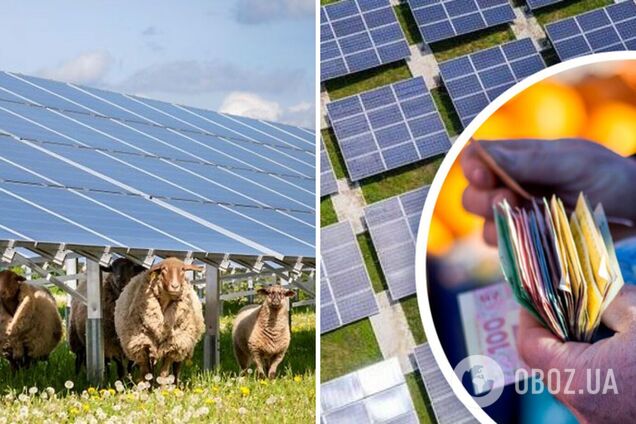 Эксперт негативно оценил предложенные изменения модели финансирования 'зеленой' энергетики