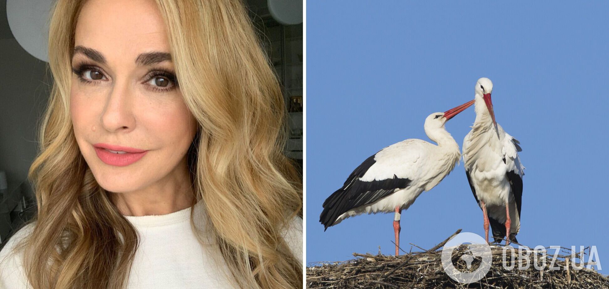 Символ життя. Ольга Сумська показала відео з Миколаївської області, в якому побачила натяк на мир в Україні