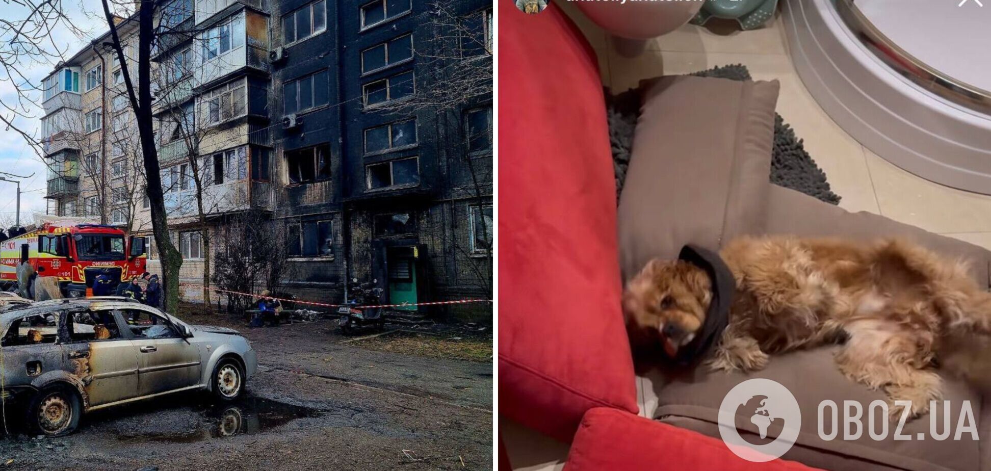 Ракетная атака на Киев: звезды показали, как провели ночь под обстрелами, и поблагодарили силы ПВО