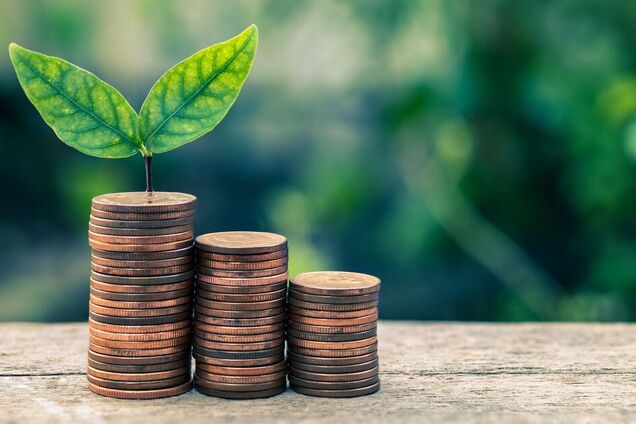 В вопросе европейского эконалога Украина должна отстаивать право на форс-мажорную отсрочку, – Колесникова