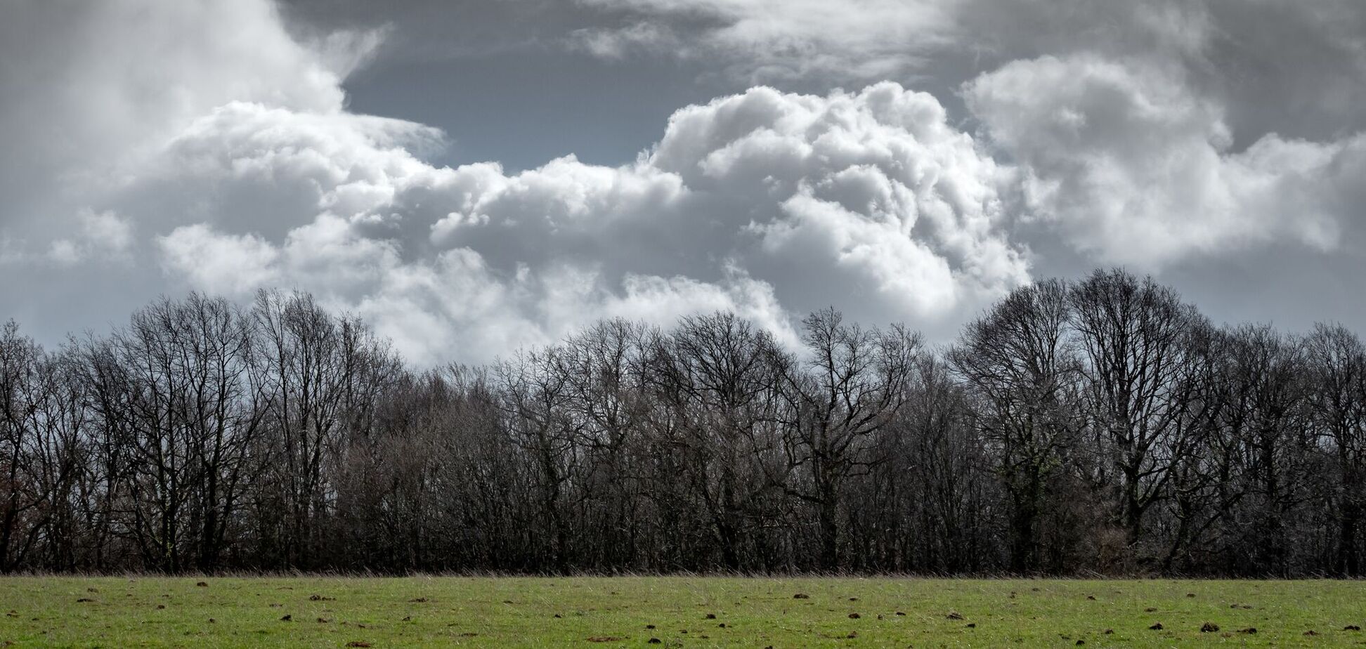 В Україні потеплішає до +15, але частину областей накриють дощі: синоптики дали прогноз на вихідні. Карта