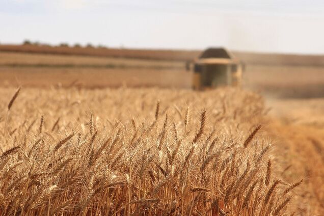 Зерно з Росії можуть все ж таки заборонити в ЄС