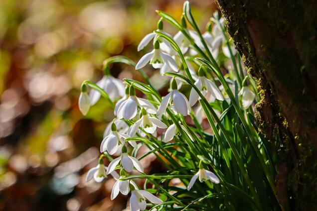 Прогноз погоды