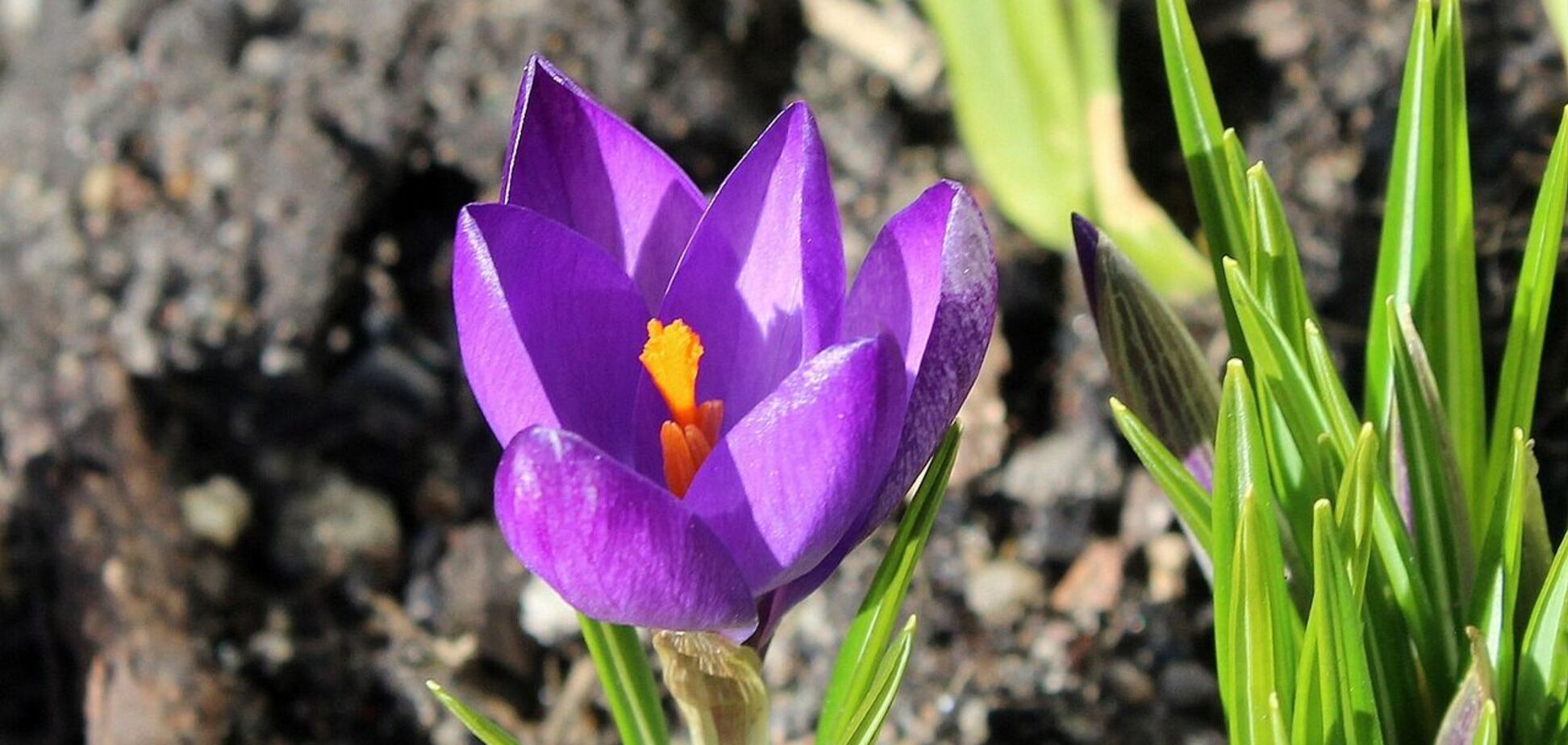 Холод отступит: синоптик рассказала, когда в Украину ворвется настоящее тепло