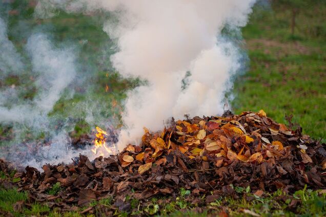 Какой штраф за сжигание листьев в Украине
