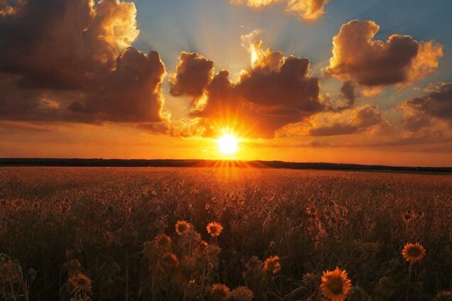 'Під час Другої світової тікав від німців до рідного Харкова. Пройшло 80 років, і я тікаю від росіян до Німеччини…'