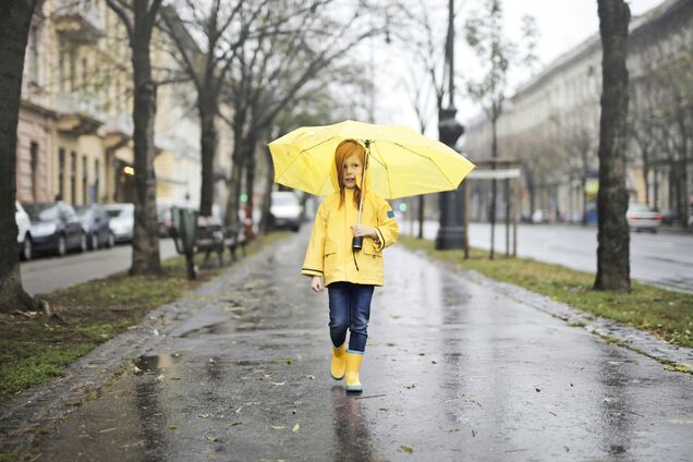 Украину накроют дожди и грозы: синоптики дали детальный прогноз на начало недели. Карта