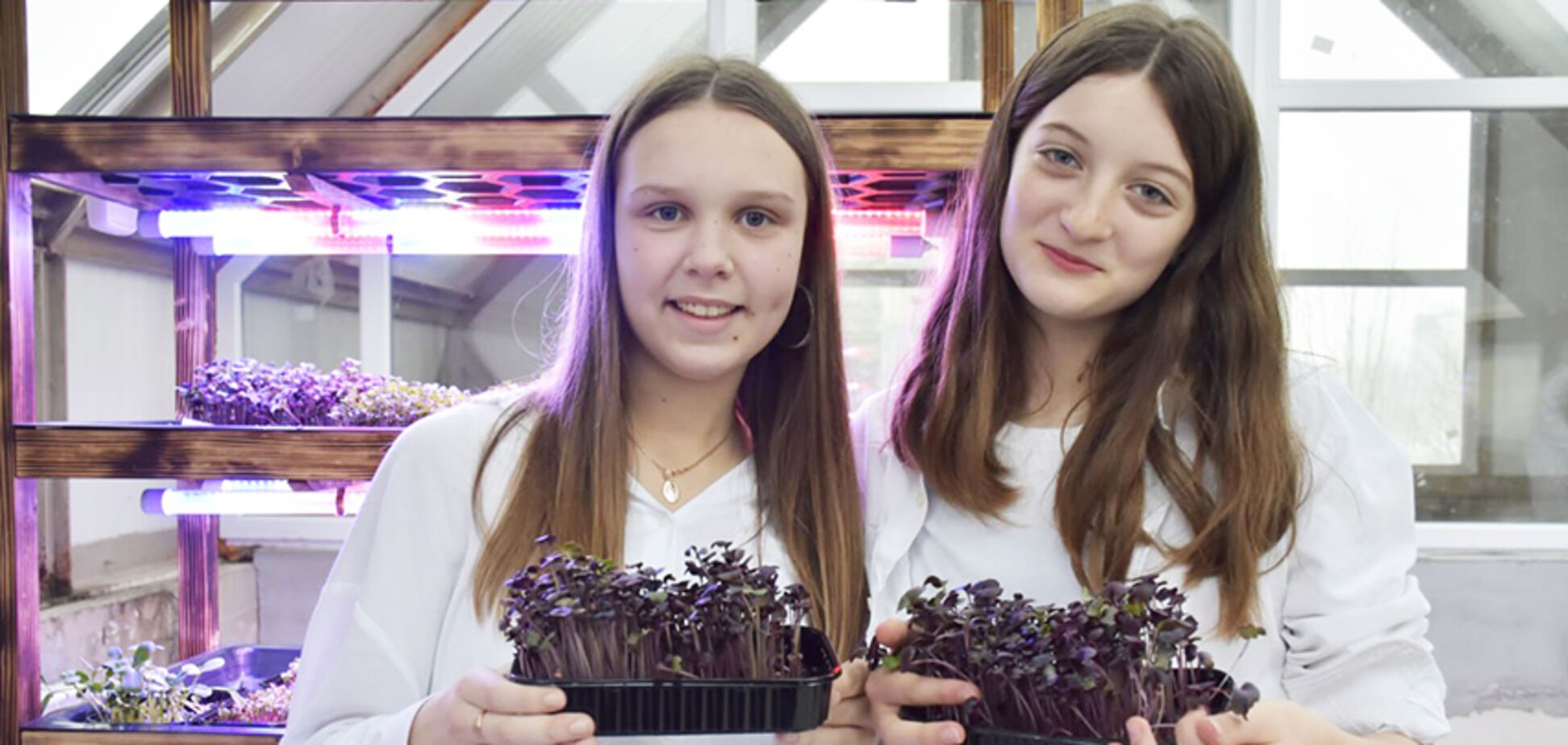 'Умный огород' от 'Континентал': школьники выращивают микрозелень, учатся бизнесу и донатят на ВСУ