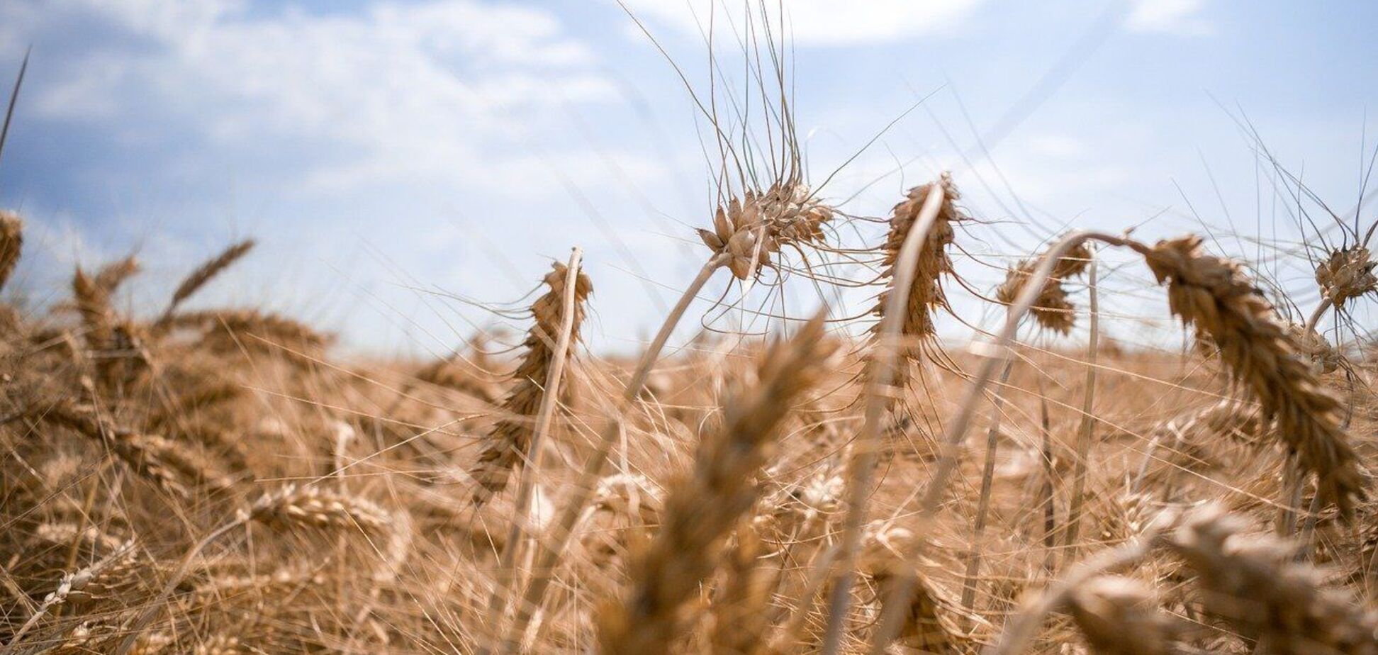 Предложение Франции и Польши по Украине может затянуть войну