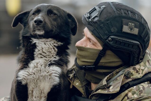 Каждая жизнь важна: как волонтеры спасают животных, пострадавших от войны