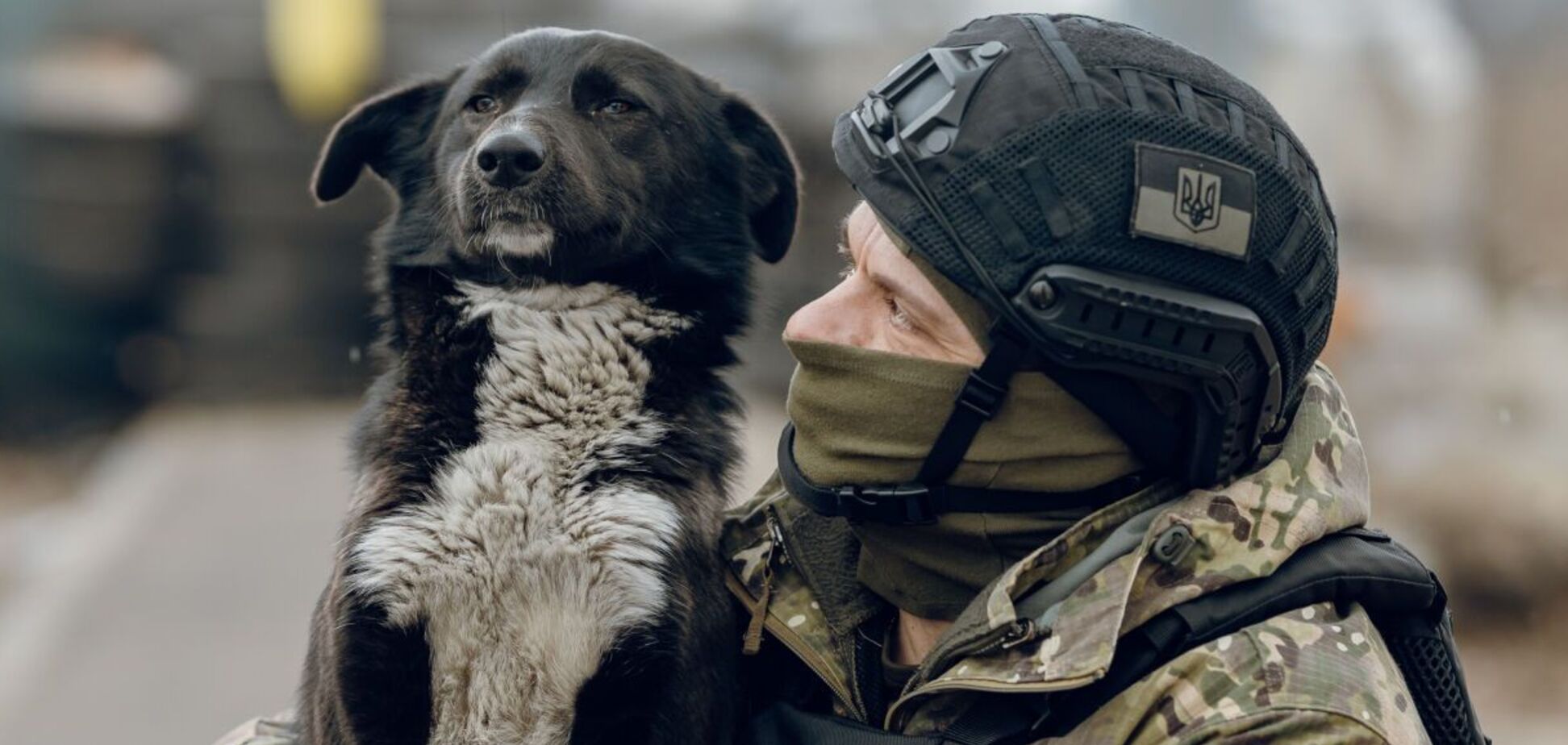 Каждая жизнь важна: как волонтеры спасают животных, пострадавших от войны