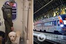 Українському військовому довелося три години стояти в тамбурі потяга через  службового собаку: в 'УЗ' відреагували на скандал