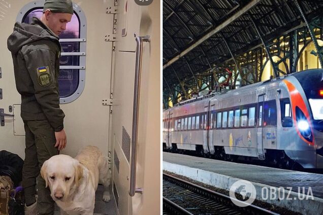 Украинскому военному пришлось три часа стоять в тамбуре поезда из-за служебной собаки: в 'УЗ' отреагировали на скандал