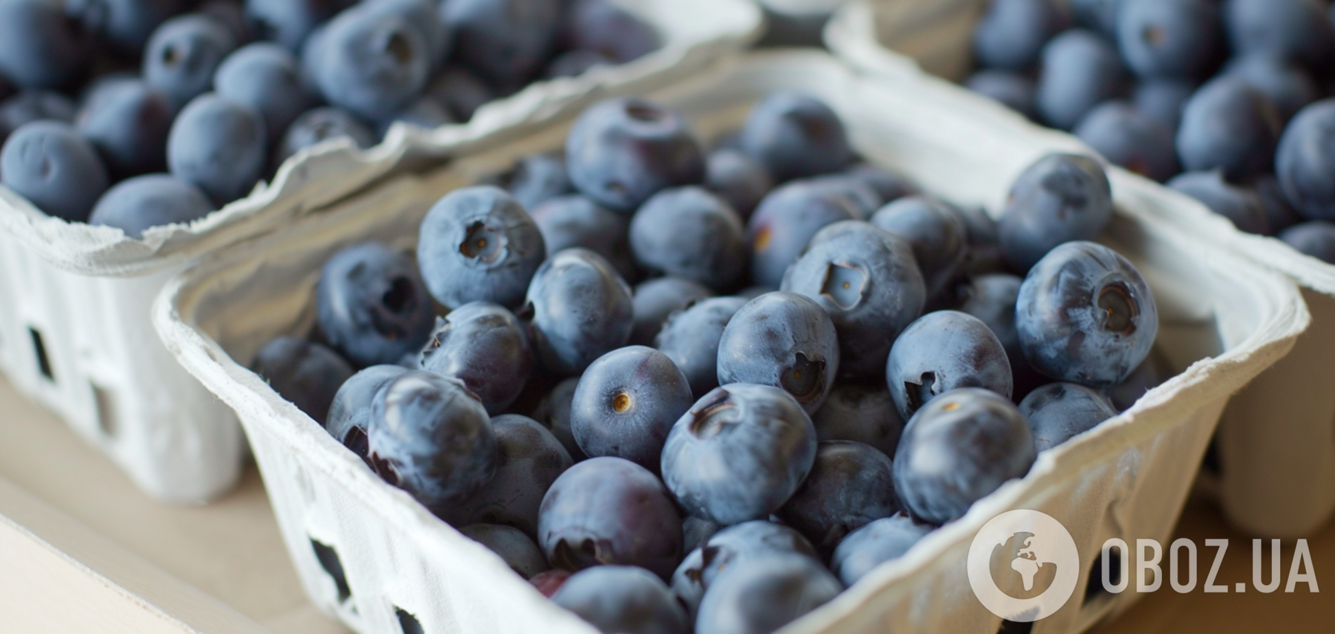 Чим підживити лохину, щоб була краща за магазинну: секрети дачників