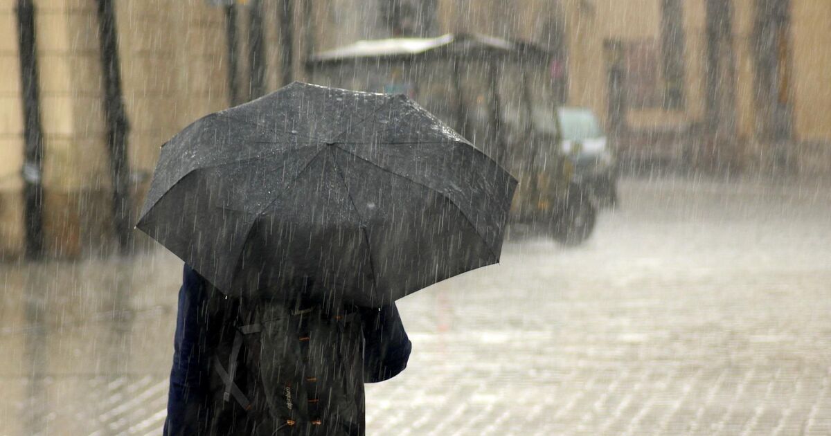 Дощ та пориви вітру: прогноз погоди по Київщині на 29 березня