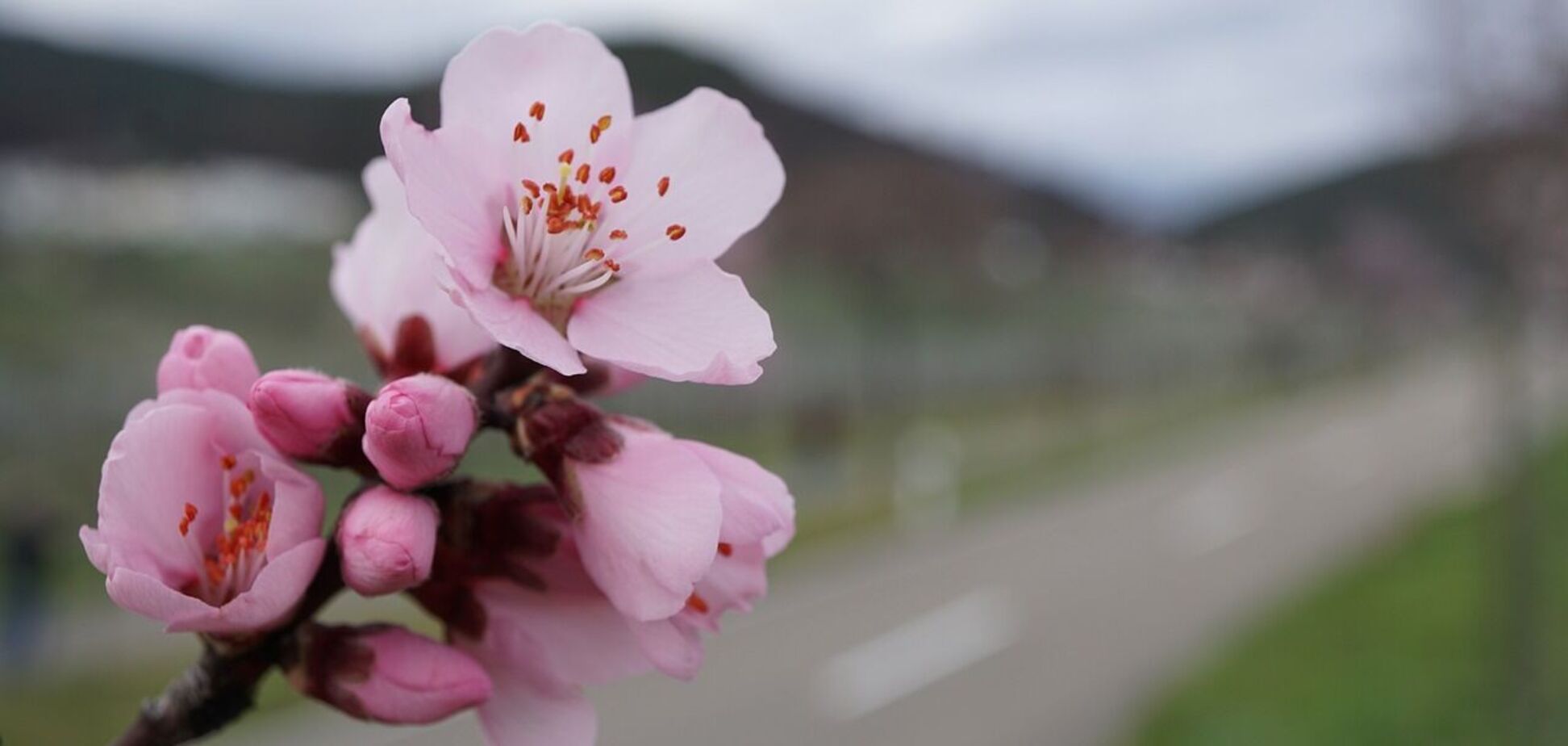 До 24 градусов тепла, но есть нюанс: синоптики дали прогноз погоды на субботу, 30 марта