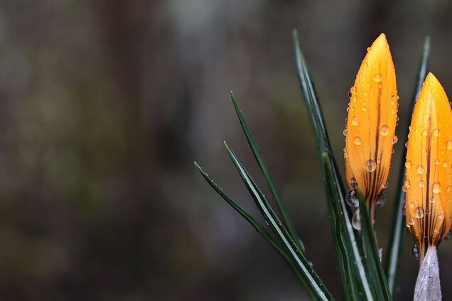 В Украине потеплеет, но объявлен желтый уровень опасности: прогноз синоптиков