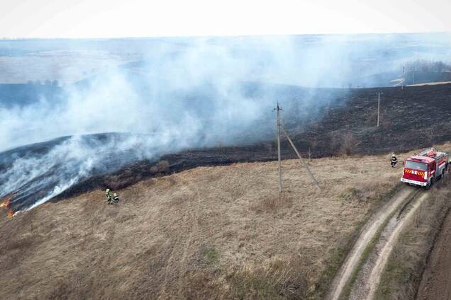 В Киевской области спасатели тушили масштабный пожар