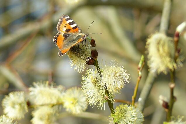 В Украину после потепления ворвется новая волна холода: синоптик дала прогноз. Карта