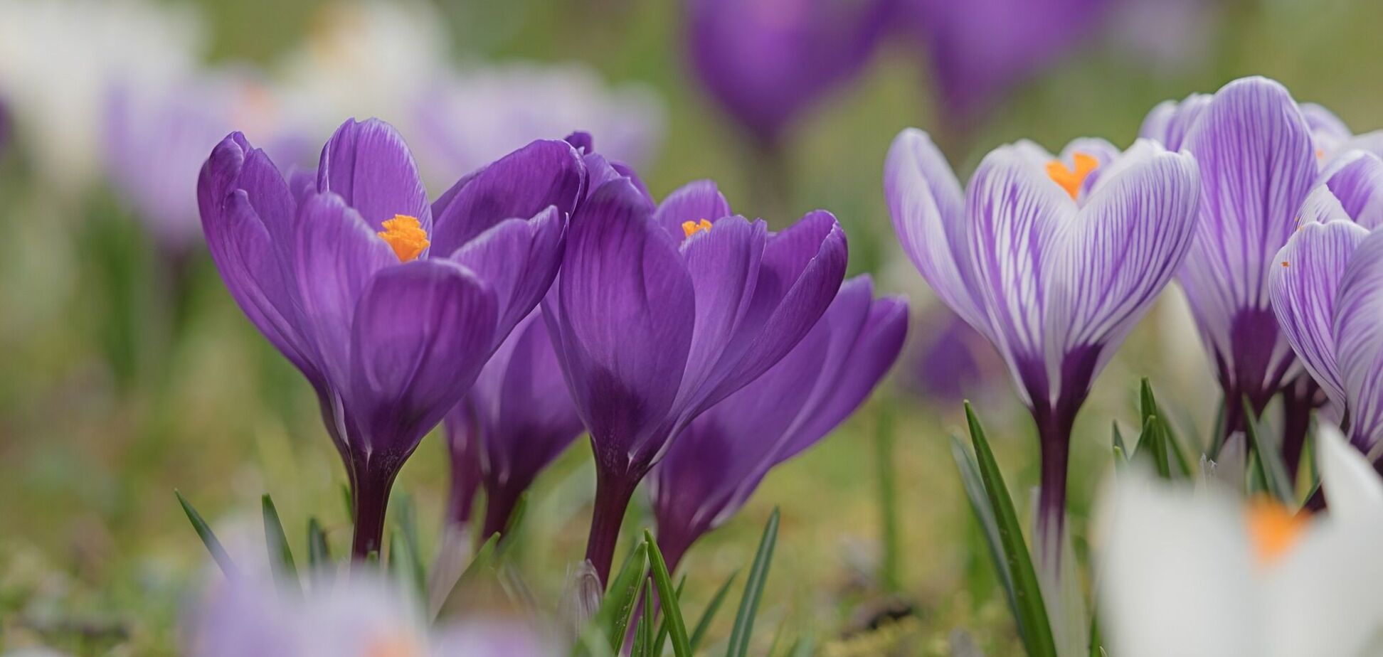 В Украине потеплеет