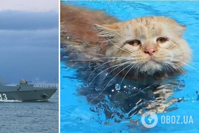 Переехал на дно к 'Москве': сеть взорвалась шутками и мемами из-за уничтожения российского корабля 'Сергей Котов'