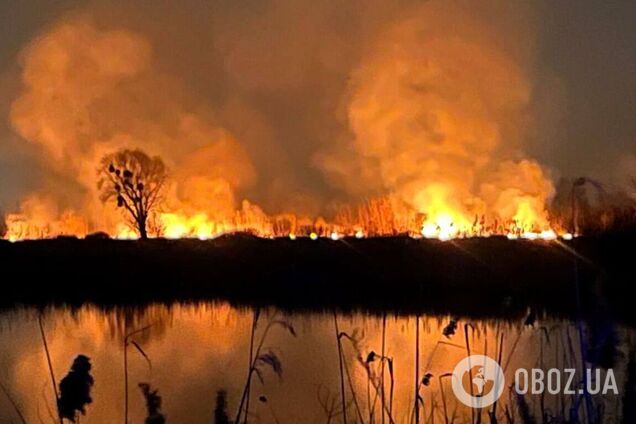Під Києвом горіла суха трава і очерет: рятувальники ДСНС і КАРС ліквідували пожежу. Відео