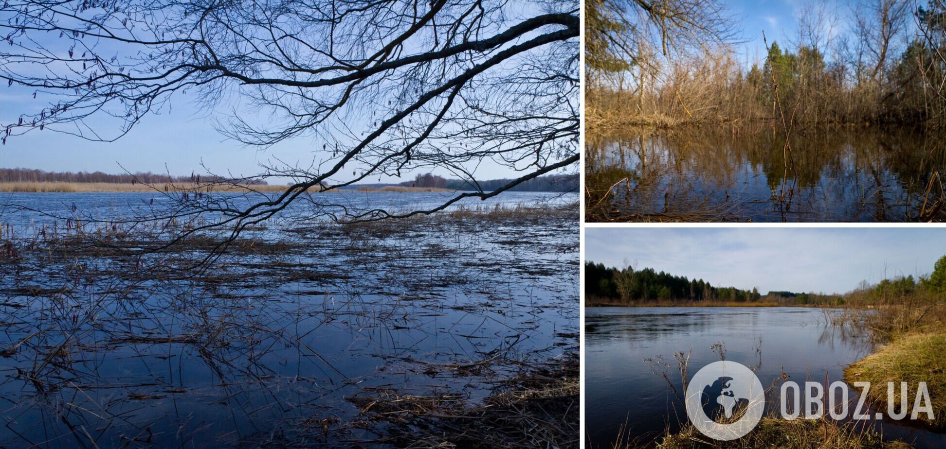 Наслідки повені у Чорнобильській зоні