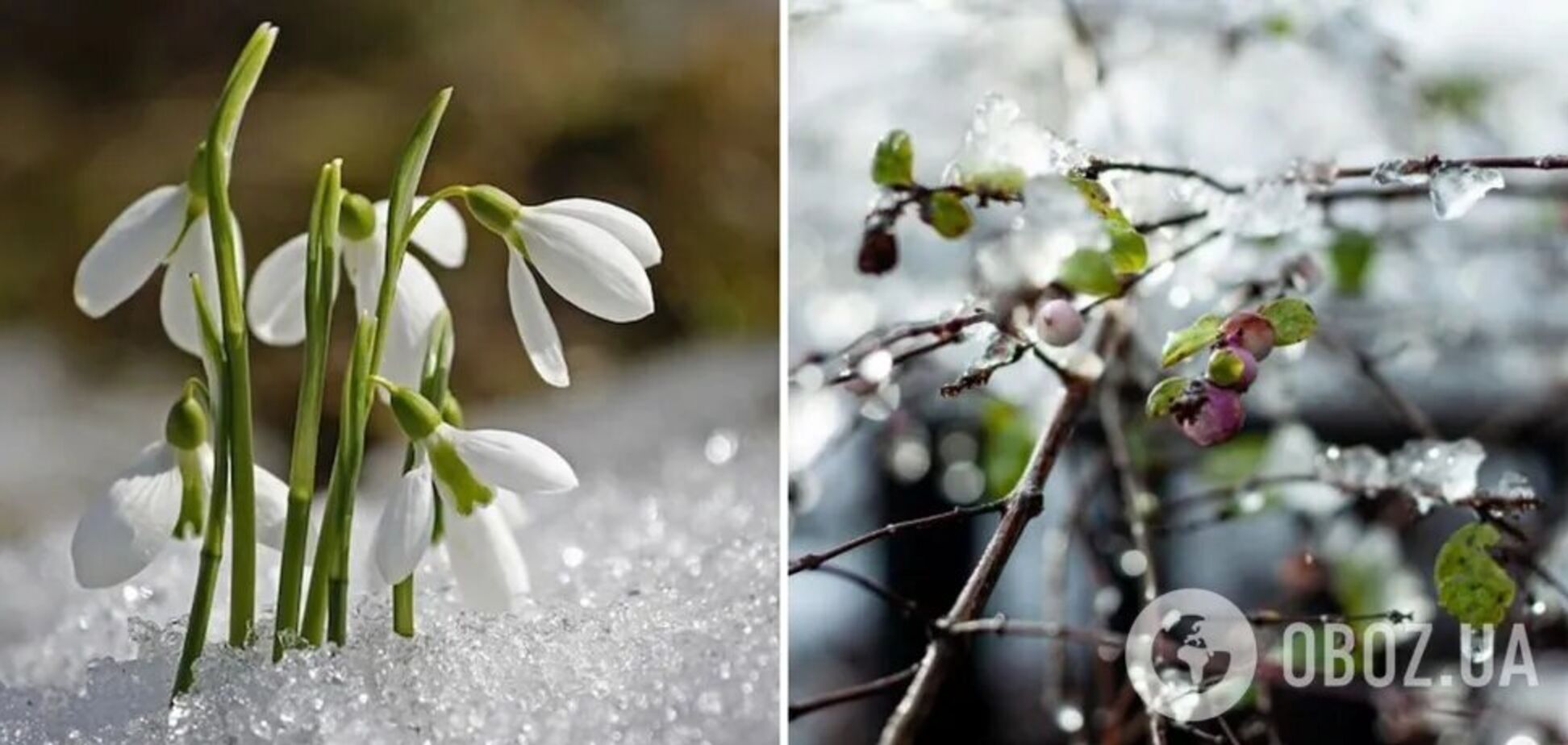 Погоду в Україні визначатиме антициклон Jasper: синоптикиня дала прогноз і назвала дату потепління. Карта