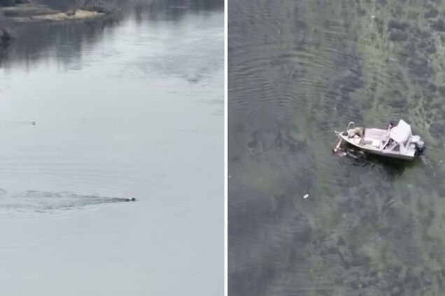 'На старт, увага': пʼятеро чоловіків призовного віку намагалися переплисти Дністер, але були спіймані. Відео
