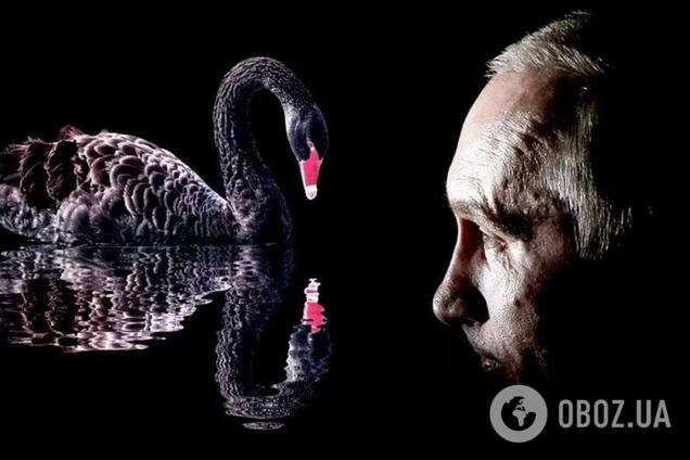 Черные лебеди на службе путинского режима