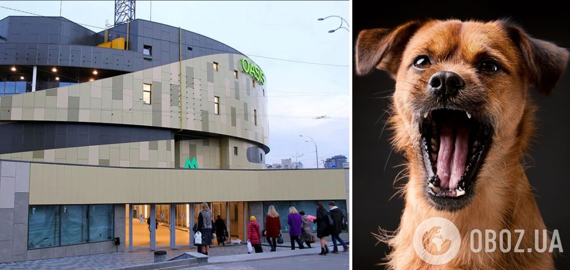 Событие произошло в ТРЦ 'Оазис'