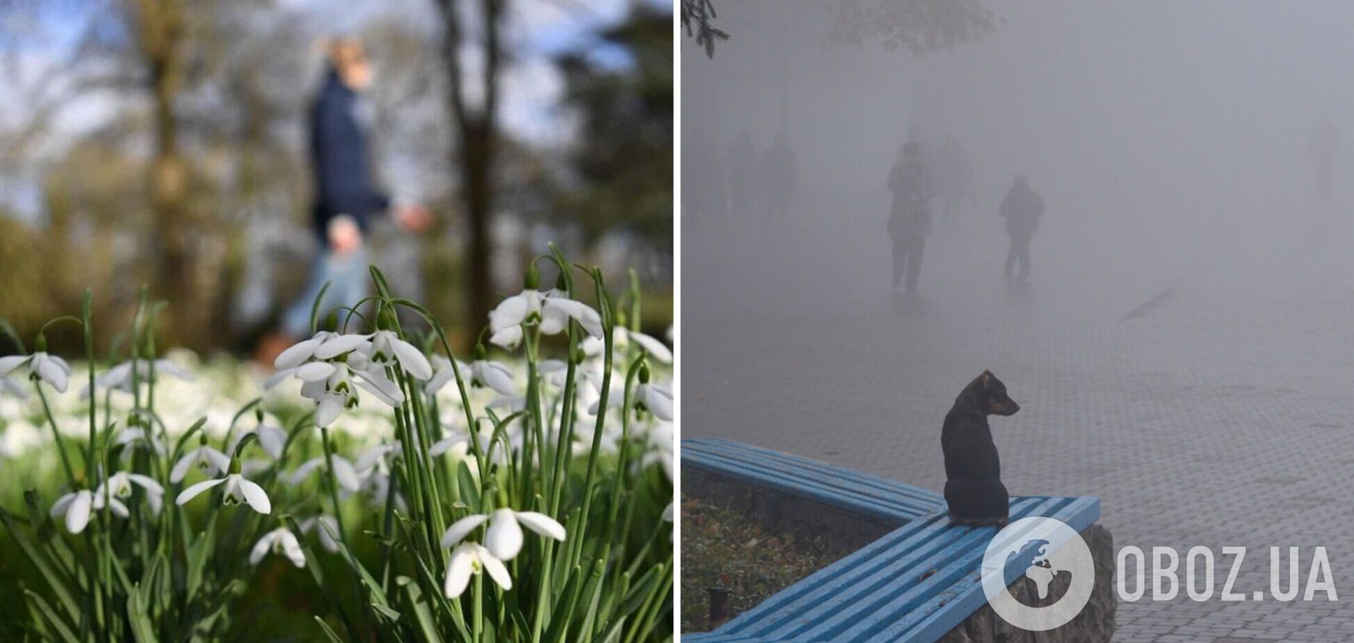 Без опадів, але з туманами: синоптики дали прогноз погоди на суботу, 9 березня