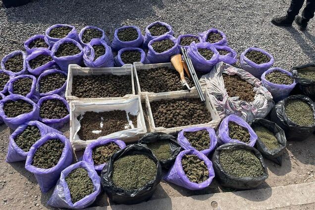 Полицейские ударили по логистической сети наркосбытчиков