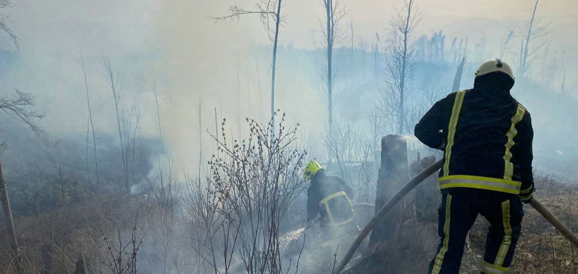 На Закарпатті рятувальники загасили масштабну пожежу: горіло 6 га лісу. Фото і відео