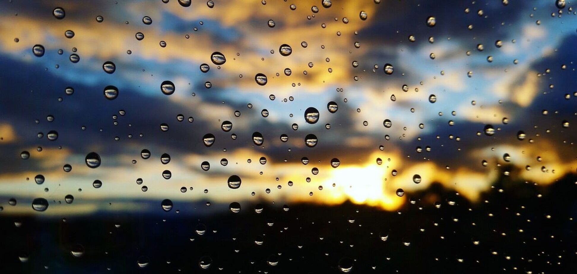 Часть регионов Украины накроют дожди