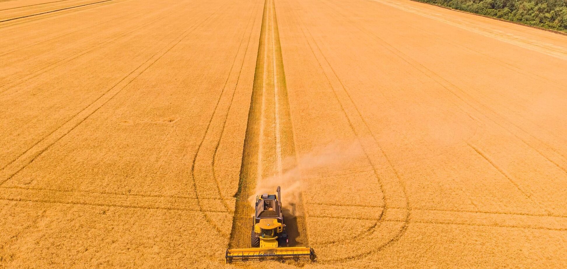 Министр в Польше приказал скрыть список украинских импортеров зерновых.