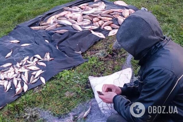 Браконьеры 'наловили' рыбы более чем на 330 тыс. грн