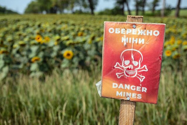 Российские оккупанты минируют  поля на захваченных территориях – ЦНС