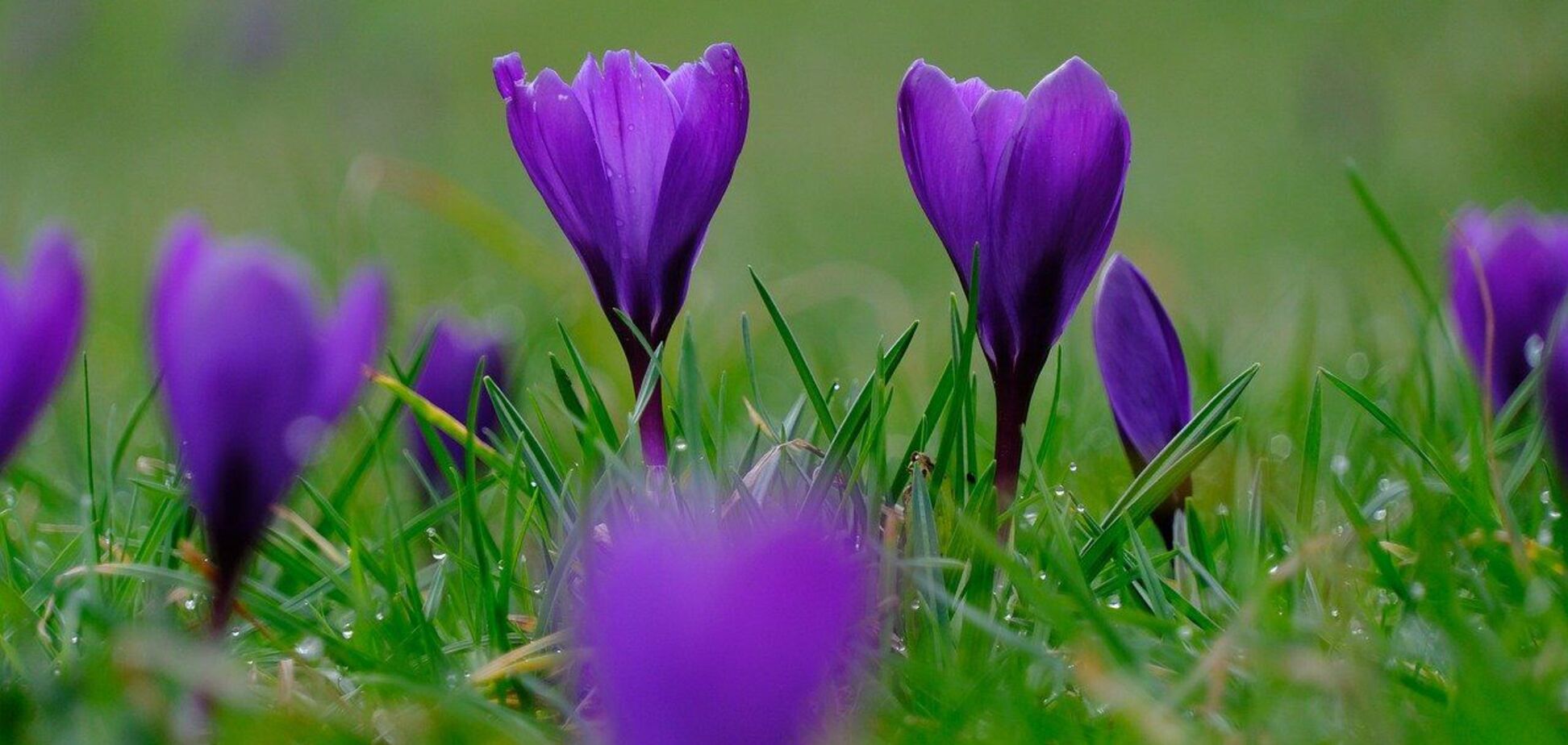 Кратковременные дожди, местами грозы: синоптики дали прогноз погоды на воскресенье, 14 апреля.