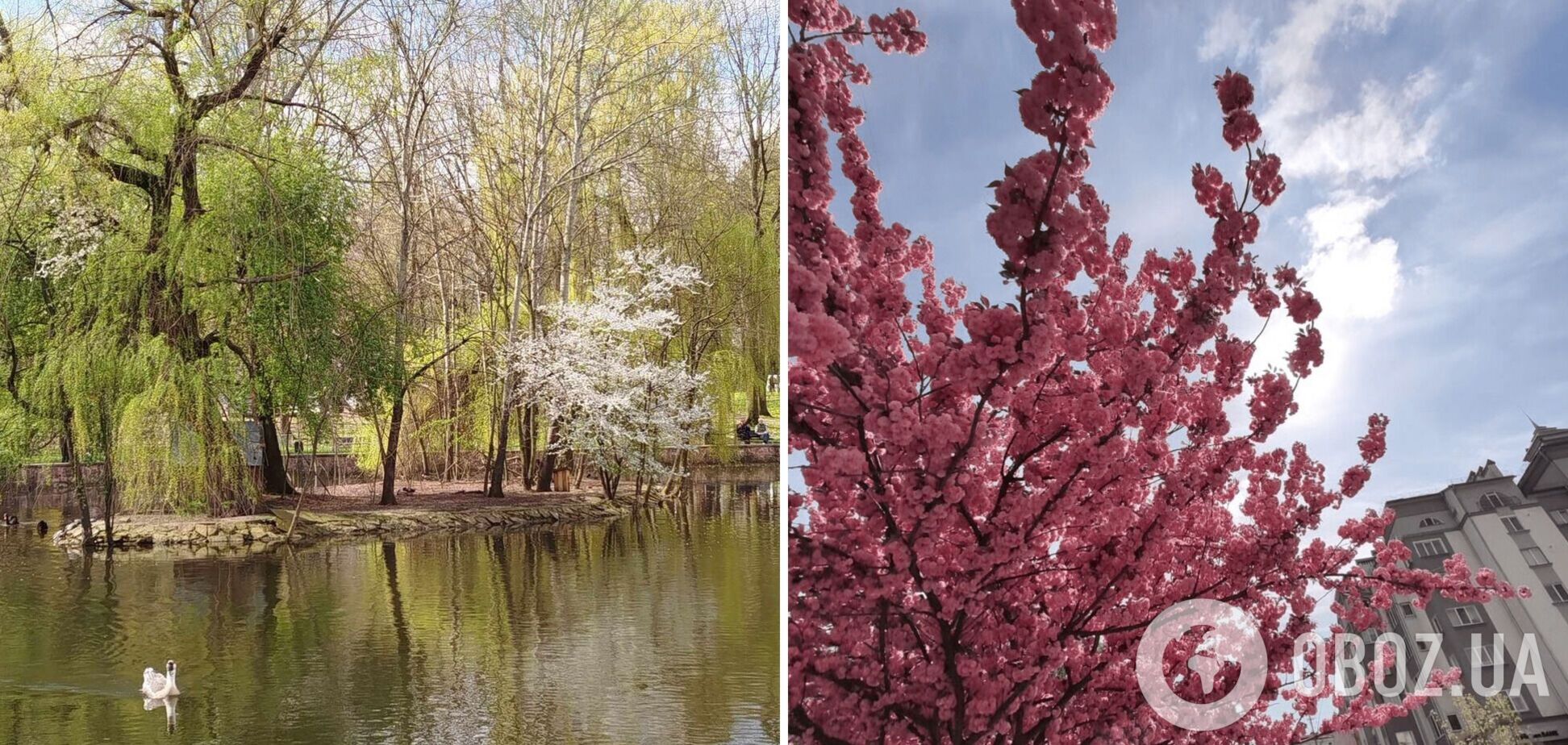 'Місто на вікенд': які локації відвідати в Івано-Франківську