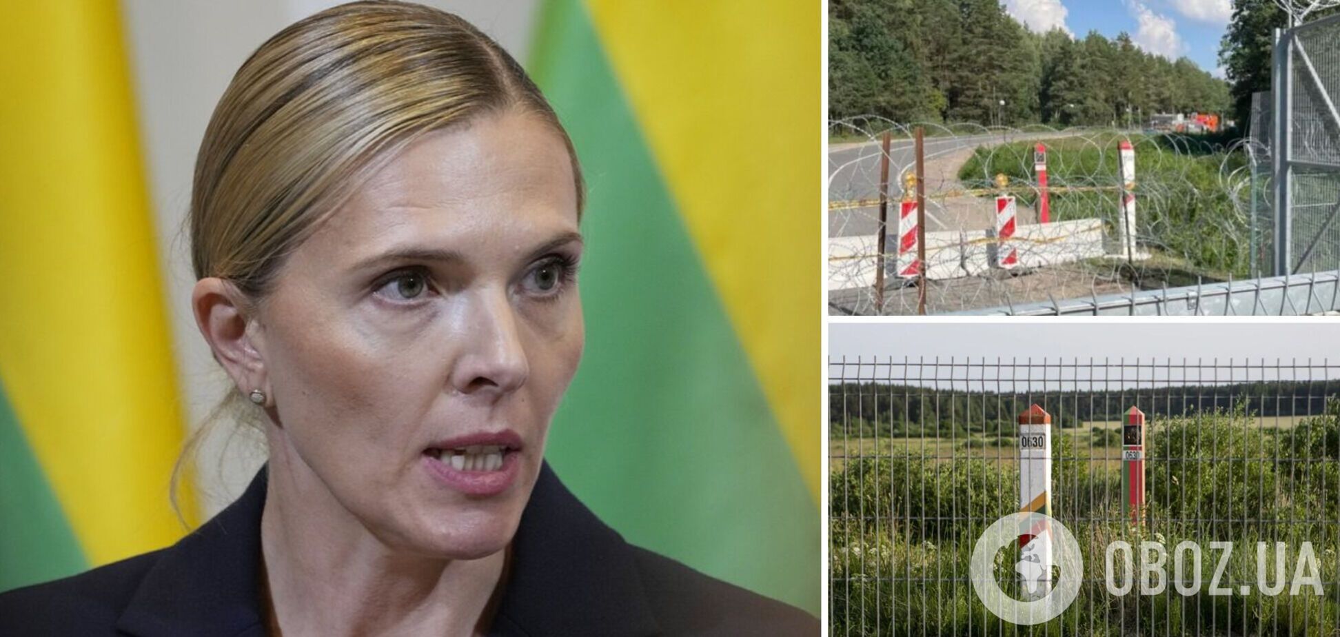 600 км фортифікацій за рік: у Литві розповіли про зміцнення кордону з Білоруссю