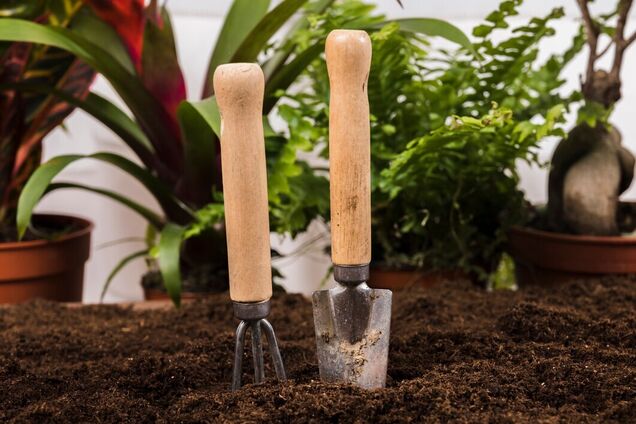 Как проверить температуру почвы перед посадкой овощей: простые способы